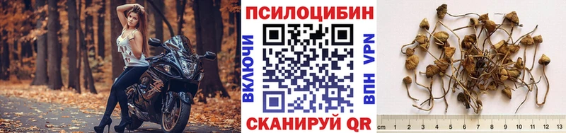omg ONION  Ликино-Дулёво  Псилоцибиновые грибы GOLDEN TEACHER 